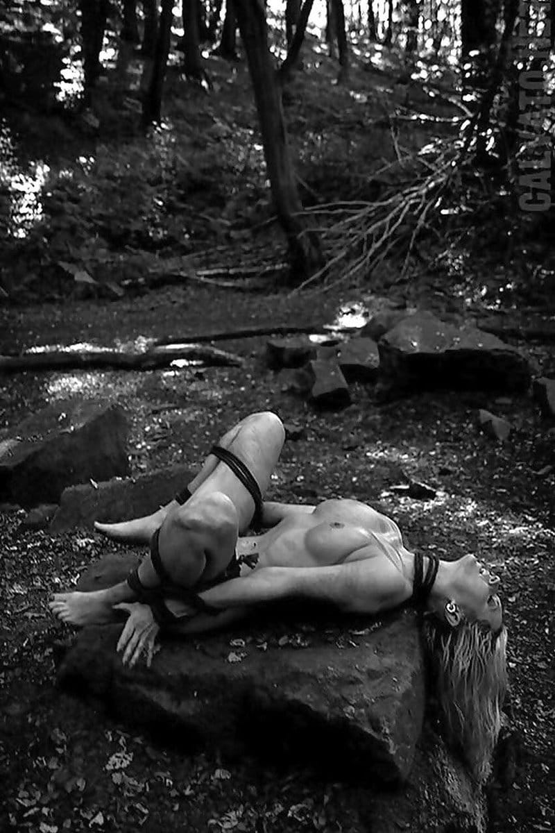 (via Mauricio Dom (@mauriciodommyr) / X)