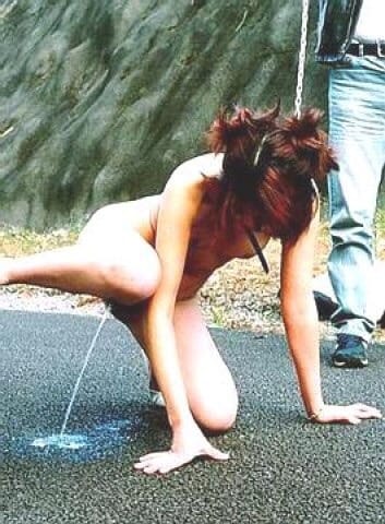 Dirty Bitch! Can’t take her anywhere…