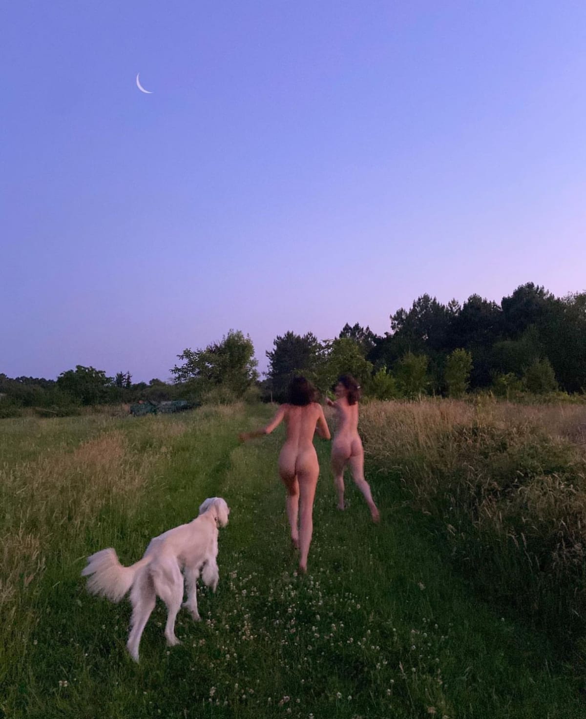 camille witt