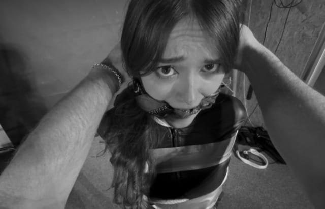 (Untitled)