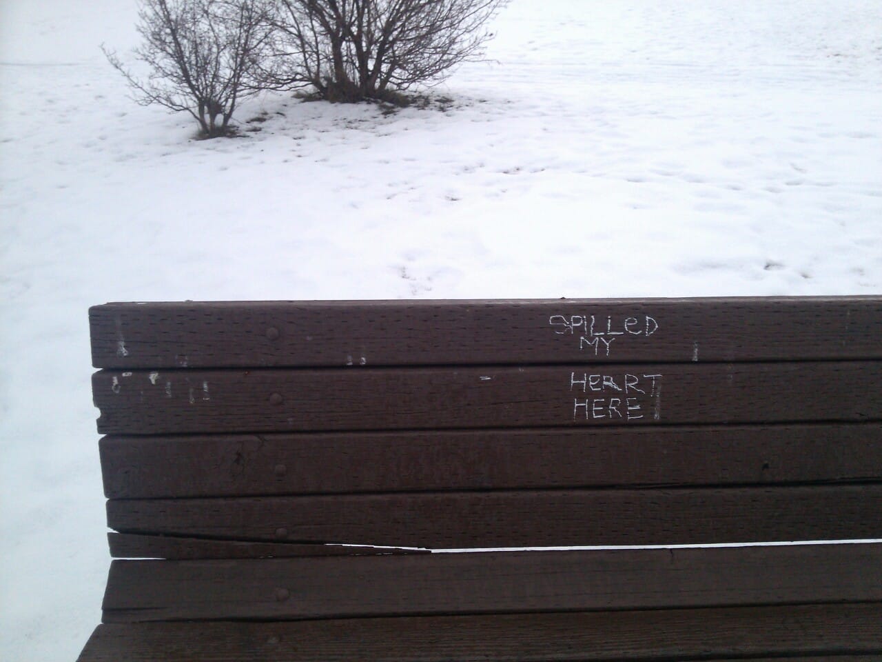 “Spilled my heart here” I saw this on my walk today and it broke my heart..