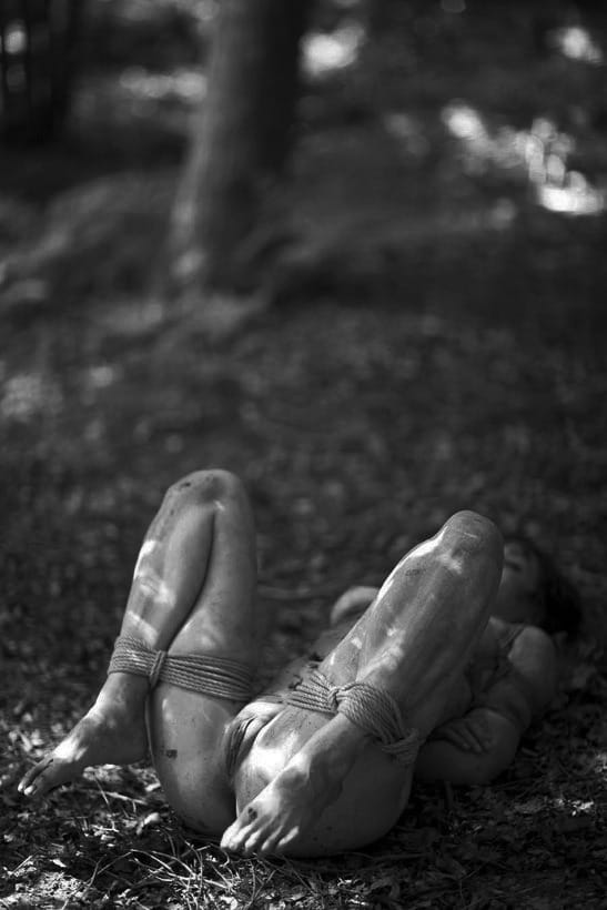 (Untitled)