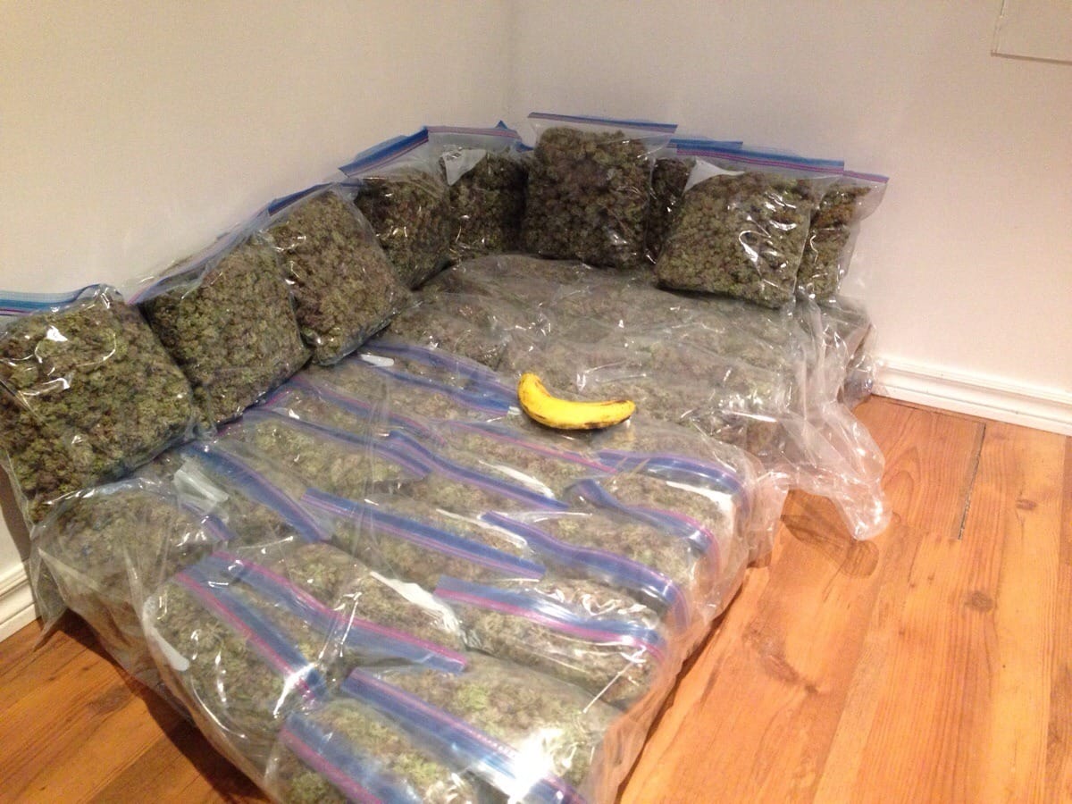 Banana for scale