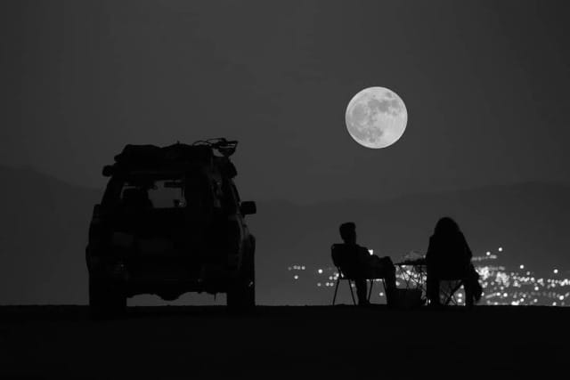 (Untitled)