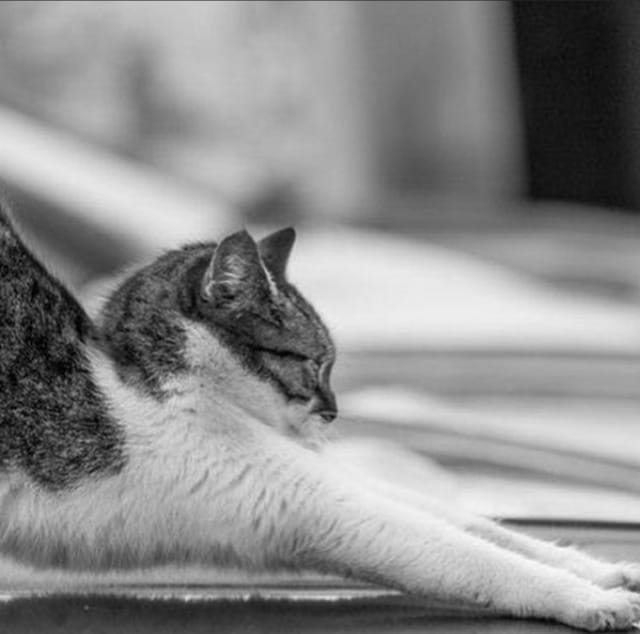 (Untitled)