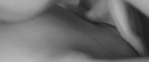 (Untitled)
