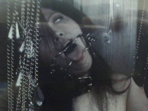 (Untitled)
