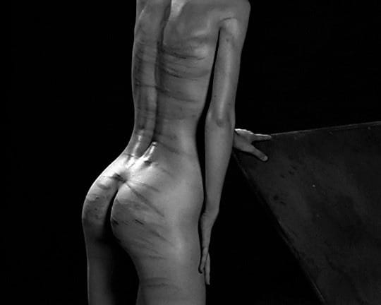 (Untitled)