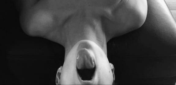 (Untitled)