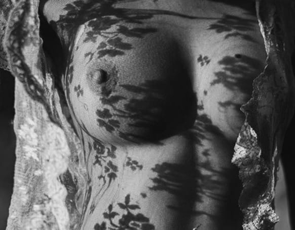 (Untitled)