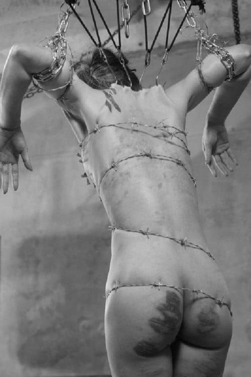 (Untitled)