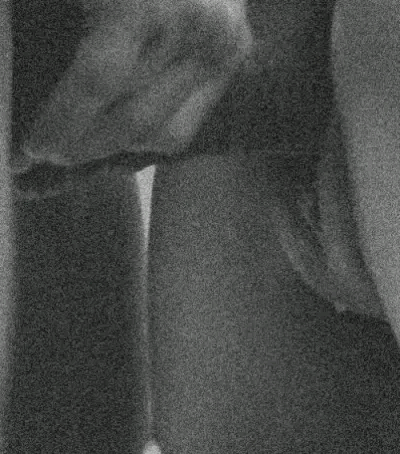 (Untitled)