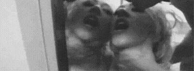 (Untitled)