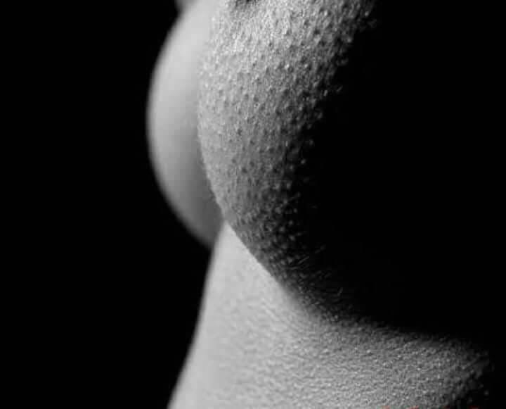 (Untitled)