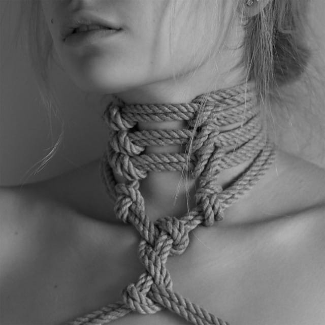 (Untitled)