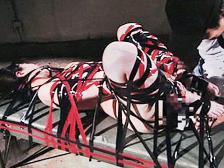 (Untitled)