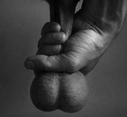 (Untitled)
