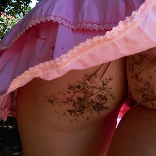 (Untitled)