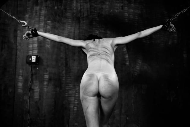 (Untitled)