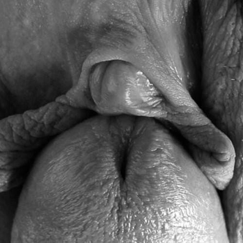 (Untitled)