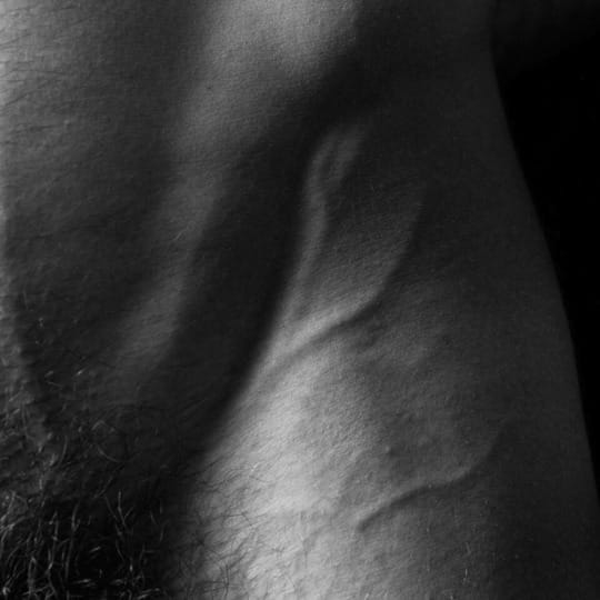 (Untitled)
