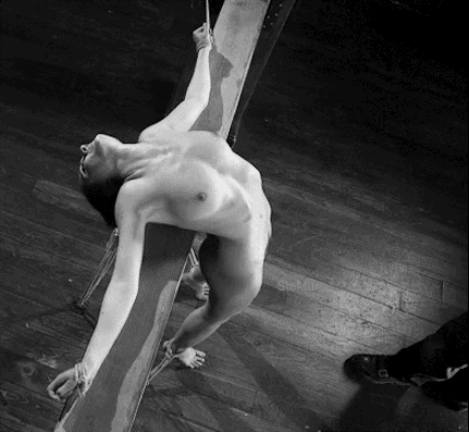 (Untitled)