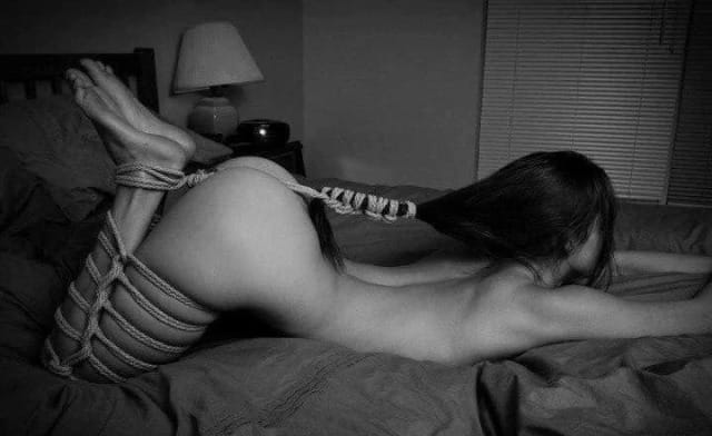 (Untitled)