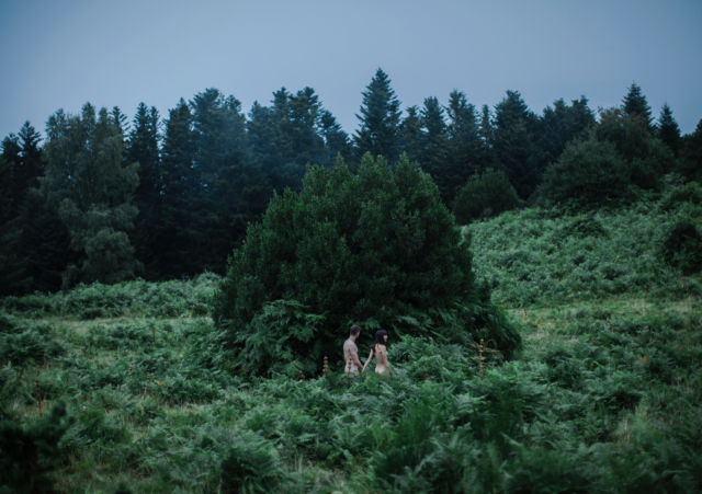 (Untitled)