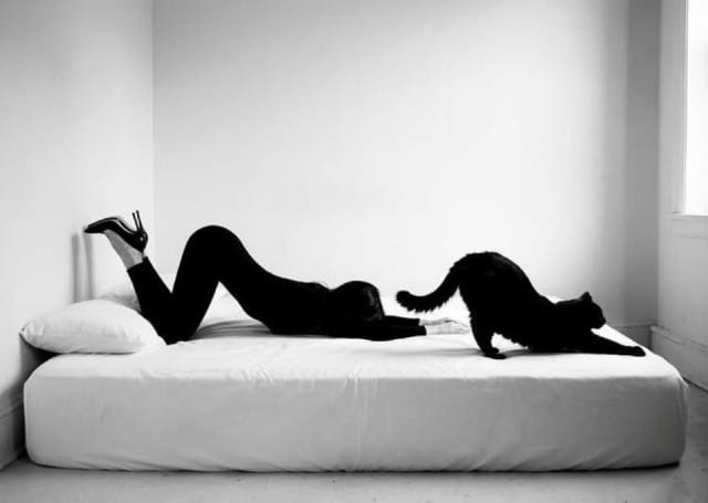 (Untitled)