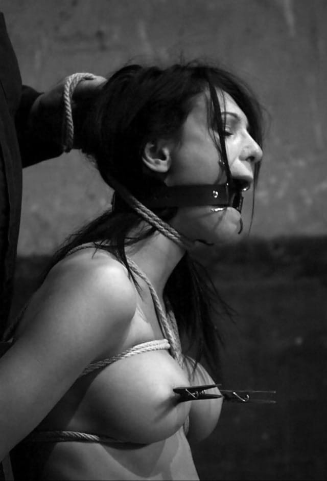 (Untitled)